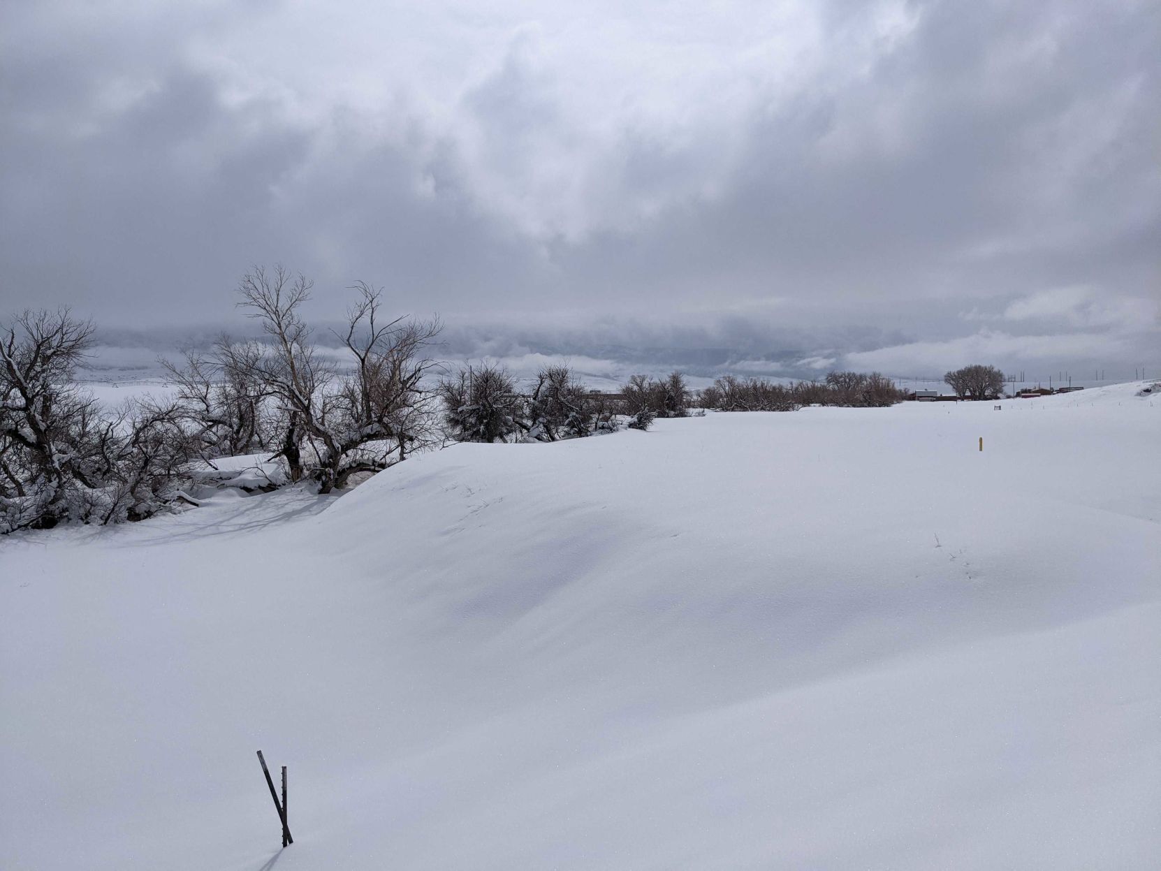 Snowstorm